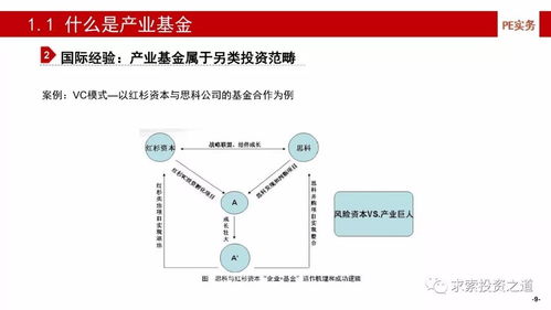 产业基金的建立、投资策略、投后管理与风险控制